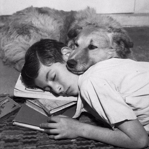 Vintage photo of a boy resting with his dog content sample